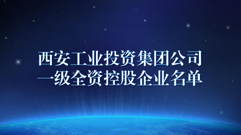 冠军体育公司（42户）一级全资控股企业